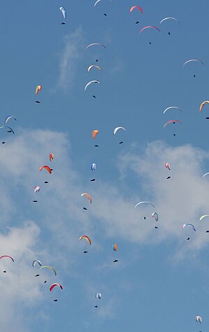 <p>Viele Paragleiter am Himmel über dem Unterberg</p>